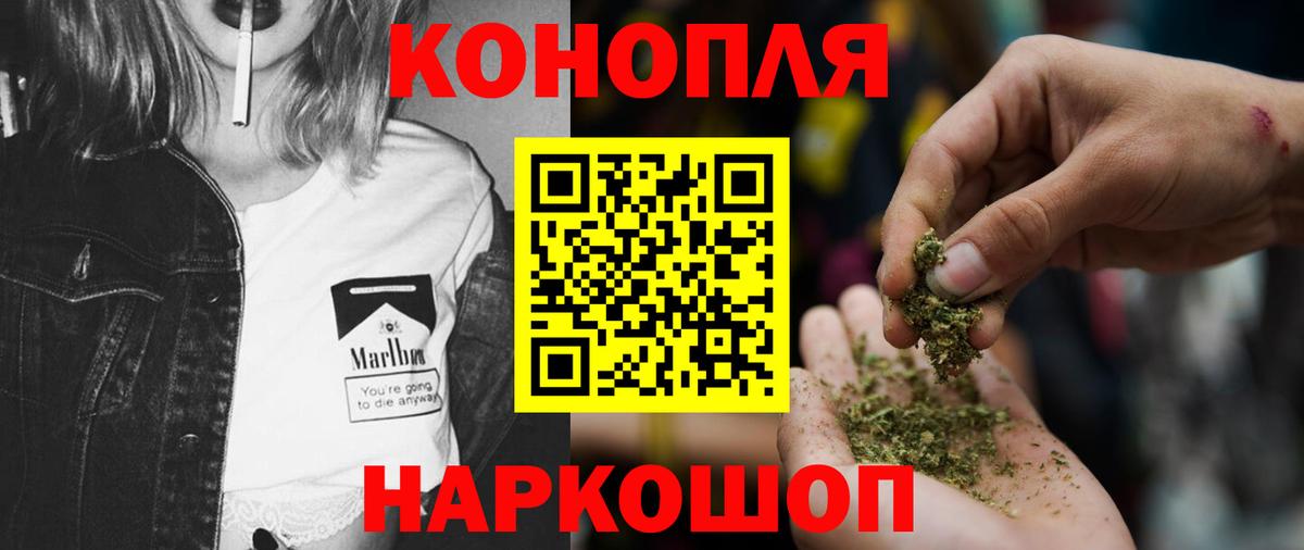Бошки марихуана LSD WEED  Марихуана Ganja  Камышлов  Шишки марихуана THC 21%  Вход с VPN 